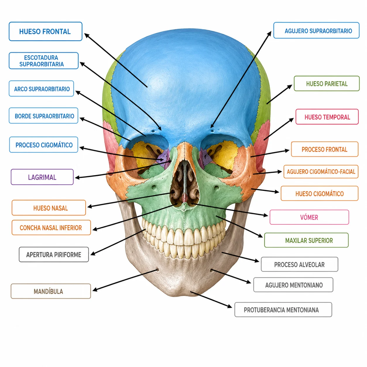 Ejercicio 2