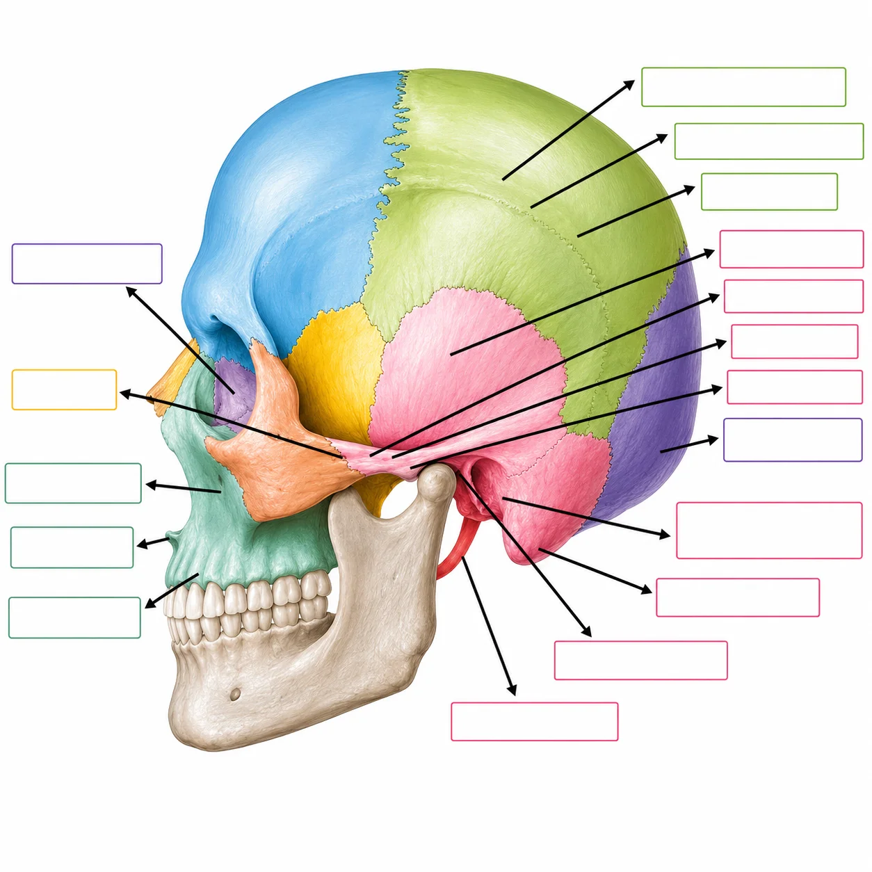 Ejercicio 6