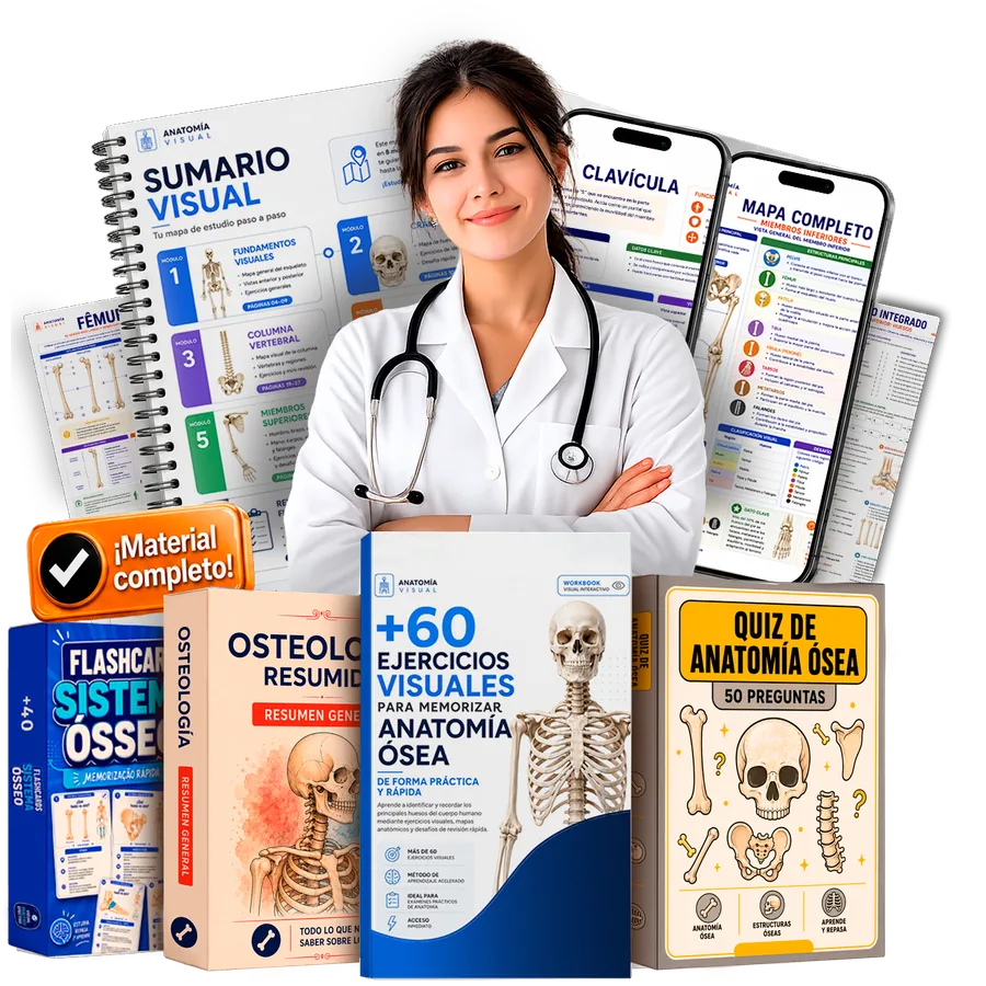 Kit Anatomía Ósea